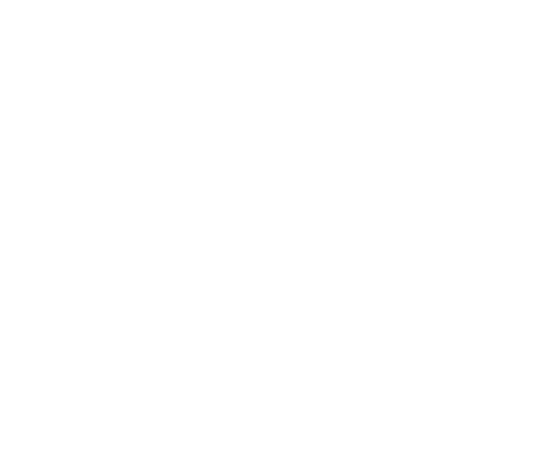 a4anarchy